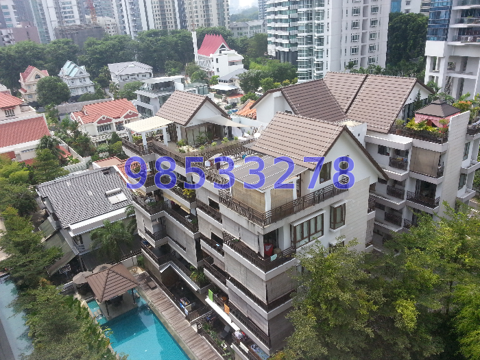 Luxury Apartments (D11), Apartment #1165942